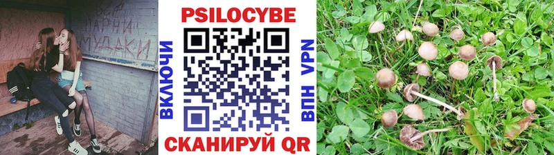 Галлюциногенные грибы ЛСД Кимры