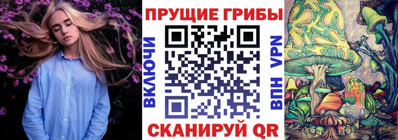 Галлюциногенные грибы мухоморы  Купить  Кимры 